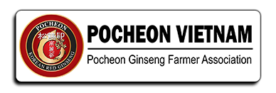 HỒNG SÂM POCHEON – Hồng sâm Hàn Quốc cao cấp